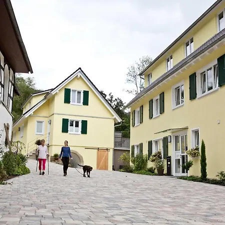 Siegelsbacher Muehle *