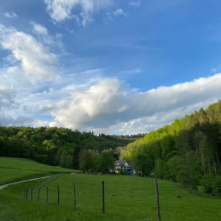 Siegelsbacher Muehle *