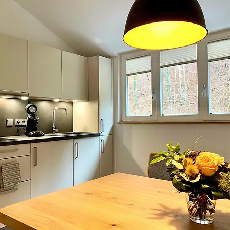 Siegelsbacher Muehle Apartment