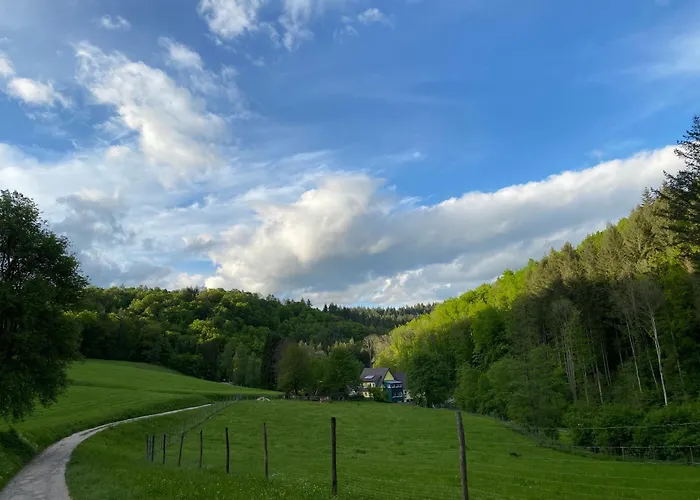 Siegelsbacher Muehle *